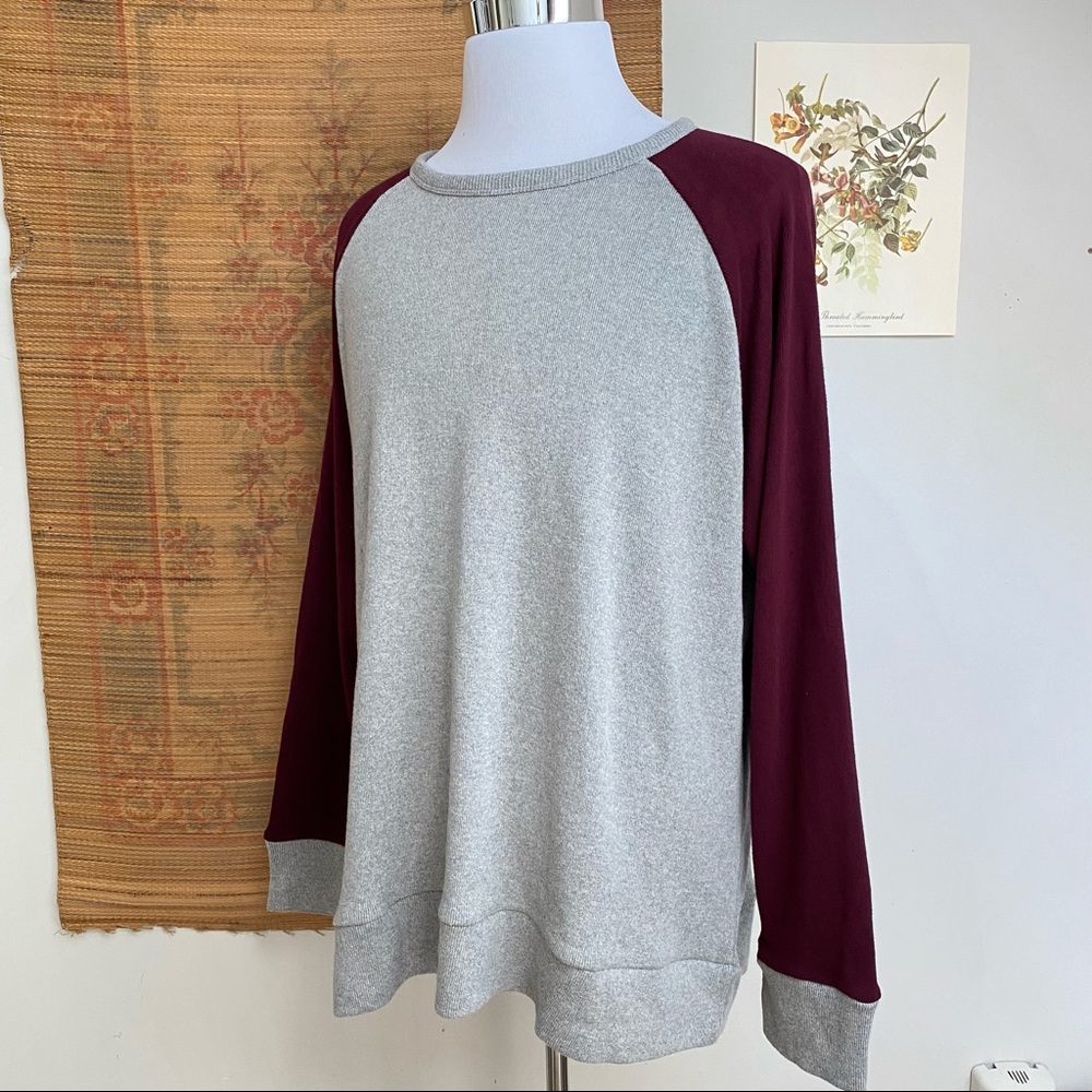 J. Peterman Suede Elbow Patch Rugby Raglan Sweatshirt - Picture 10 of 14
